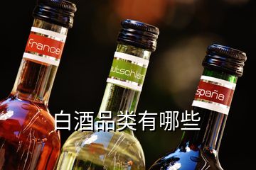 白酒品類(lèi)有哪些