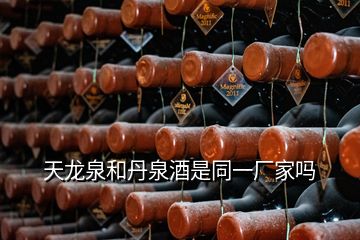 天龍泉和丹泉酒是同一廠家嗎