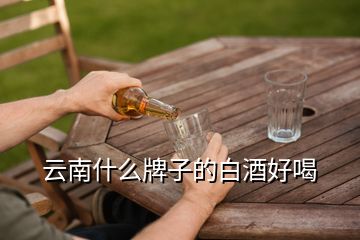 云南什么牌子的白酒好喝