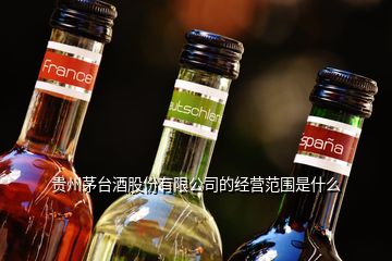 貴州茅臺酒股份有限公司的經(jīng)營范圍是什么