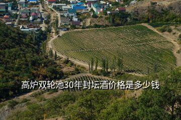 高爐雙輪池30年封壇酒價格是多少錢