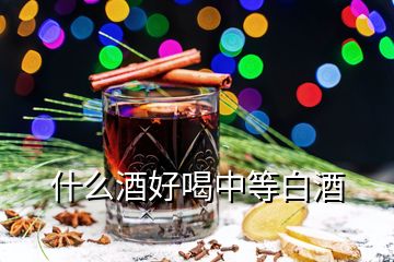 什么酒好喝中等白酒