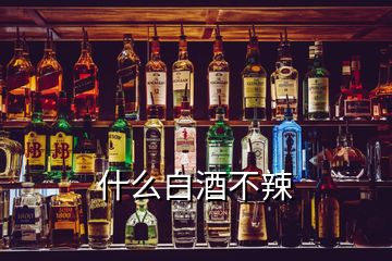 什么白酒不辣