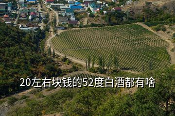 20左右塊錢(qián)的52度白酒都有啥