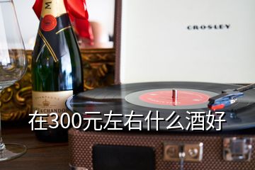 在300元左右什么酒好