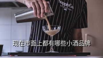 現(xiàn)在市面上都有哪些小酒品牌