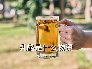 乳酪是什么物資