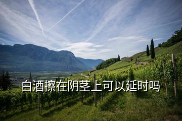 白酒擦在陰莖上可以延時嗎