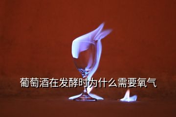 葡萄酒在發(fā)酵時(shí)為什么需要氧氣