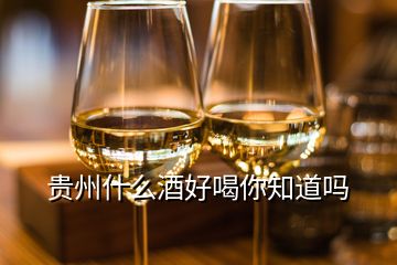 貴州什么酒好喝你知道嗎