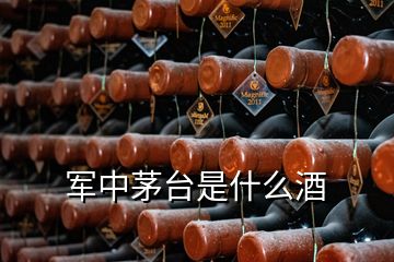 軍中茅臺(tái)是什么酒