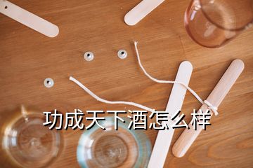 功成天下酒怎么樣