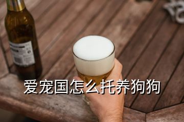 愛(ài)寵國(guó)怎么托養(yǎng)狗狗