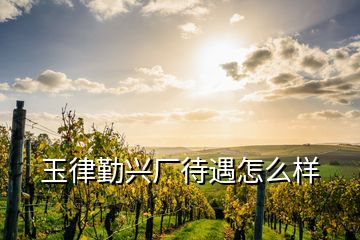 玉律勤興廠待遇怎么樣