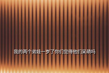 我的兩個(gè)弟娃一歲了你們覺(jué)得他們呆萌嗎