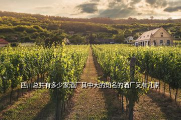 四川總共有多少家酒廠其中大的知名的酒廠又有幾家