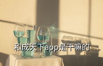 和成天下app是干嘛的