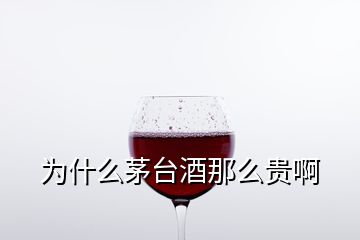 為什么茅臺(tái)酒那么貴啊