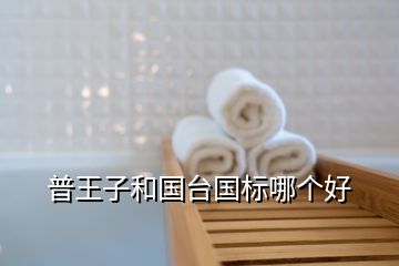 普王子和國臺(tái)國標(biāo)哪個(gè)好