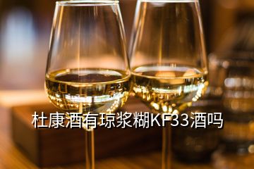 杜康酒有瓊漿糊KF33酒嗎