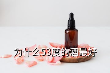 為什么53度的酒最好