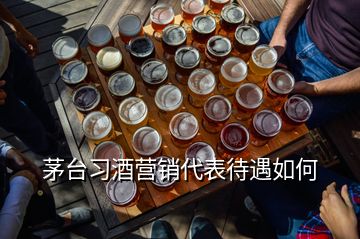 茅臺習酒營銷代表待遇如何