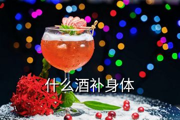 什么酒補身體