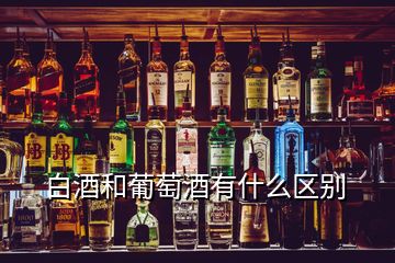 白酒和葡萄酒有什么區(qū)別