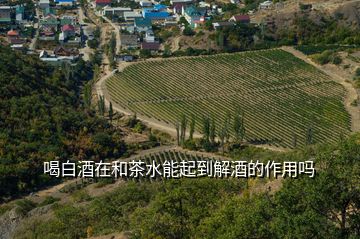 喝白酒在和茶水能起到解酒的作用嗎