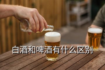 白酒和啤酒有什么區(qū)別