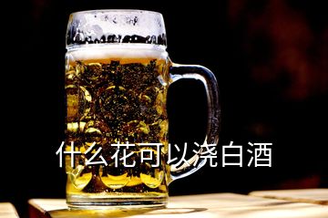 什么花可以澆白酒