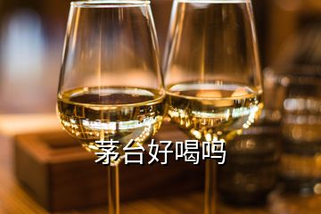 茅臺(tái)好喝嗎