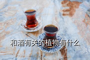 和酒有關(guān)的植物有什么