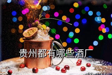 貴州都有哪些酒廠