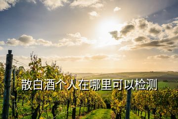 散白酒個(gè)人在哪里可以檢測