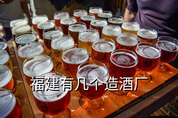 福建有幾個(gè)造酒廠