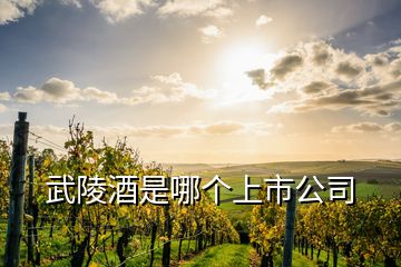 武陵酒是哪個上市公司