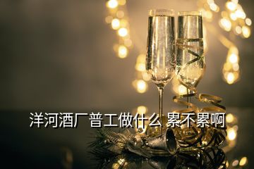 洋河酒廠普工做什么 累不累啊