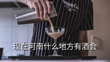 現在河南什么地方有酒會