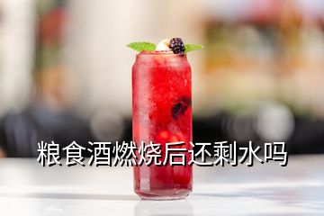 糧食酒燃燒后還剩水嗎