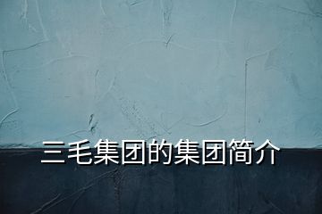 三毛集團(tuán)的集團(tuán)簡(jiǎn)介