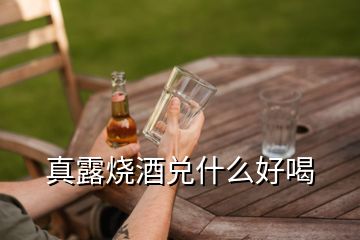 真露燒酒兌什么好喝