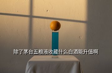 除了茅臺(tái)五糧液收藏什么白酒能升值啊