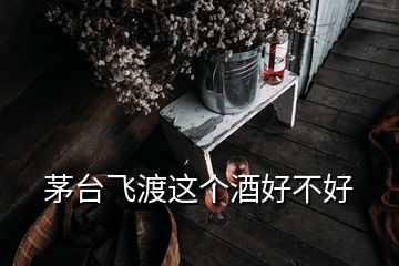 茅臺飛渡這個(gè)酒好不好