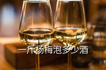 一斤楊梅泡多少酒