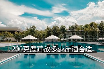 200克鹿茸放多少斤酒合適