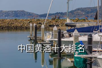 中國黃酒十大排名