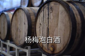 楊梅泡白酒