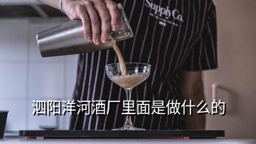 泗陽洋河酒廠里面是做什么的