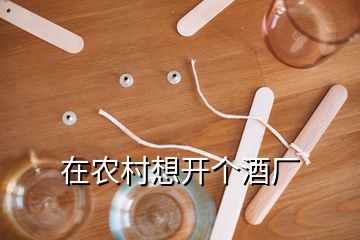 在農(nóng)村想開個酒廠